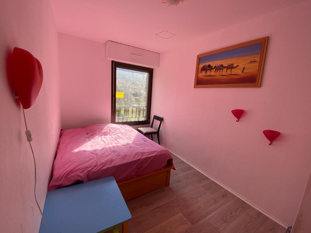 Nancy Hyper Centre, Chambre Prive Chez L'Habitant En Colocation المظهر الخارجي الصورة